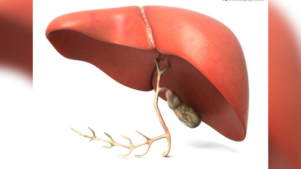 Study finds even early forms of liver disease affect heart health