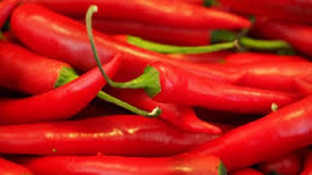 How Chilli might help us regain our sense of taste