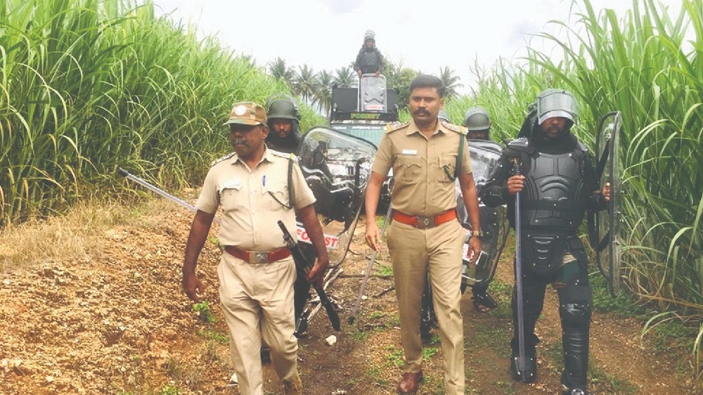 Leopard straying into cane farm driven to Sathyamangalam forest Leopard straying into cane farm driven to Sathyamangalam forest