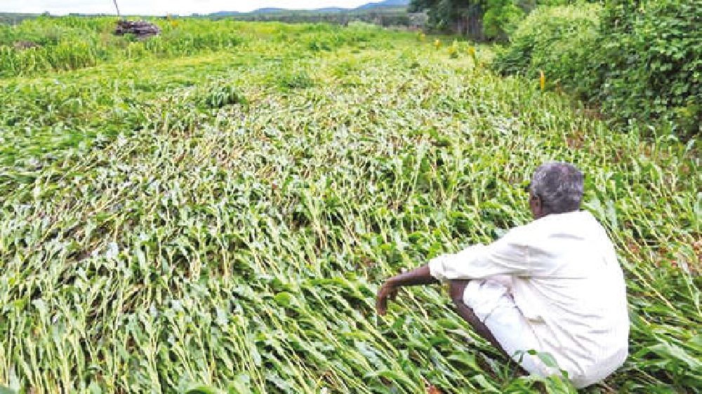 10 yrs on, Thane fund scam accused to face inquiry