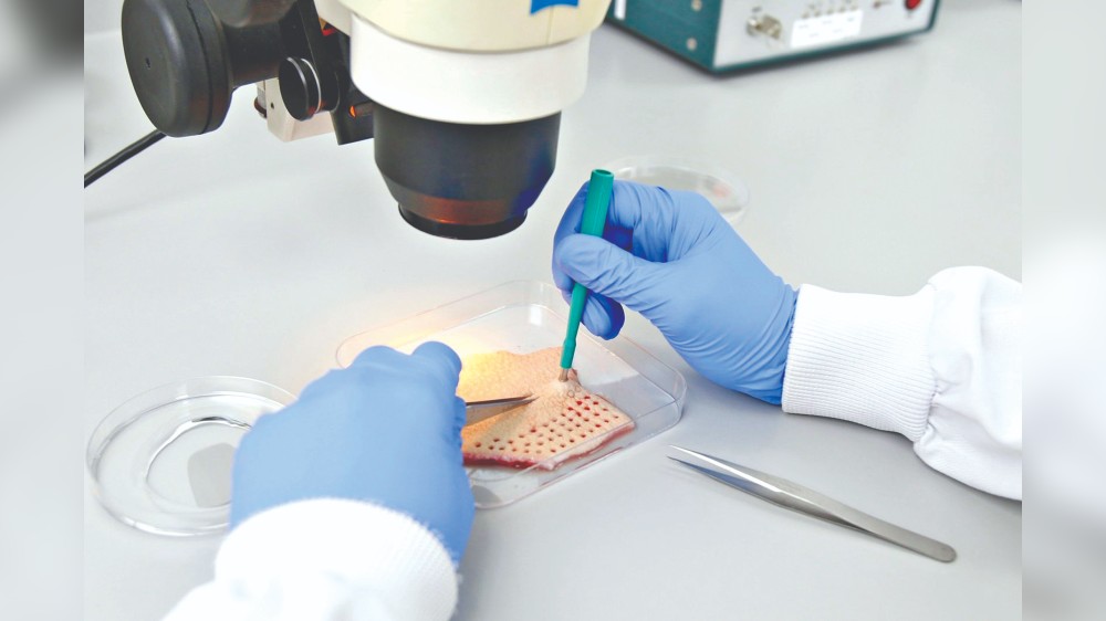 Drug trials may soon be done on human tissues