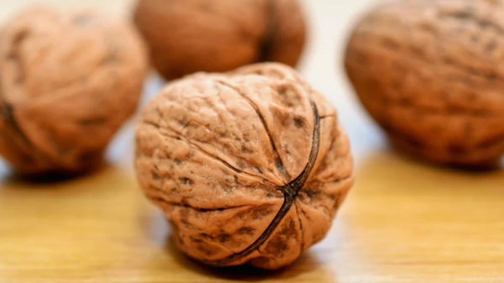 Walnuts are the new brain superfood for stressed students