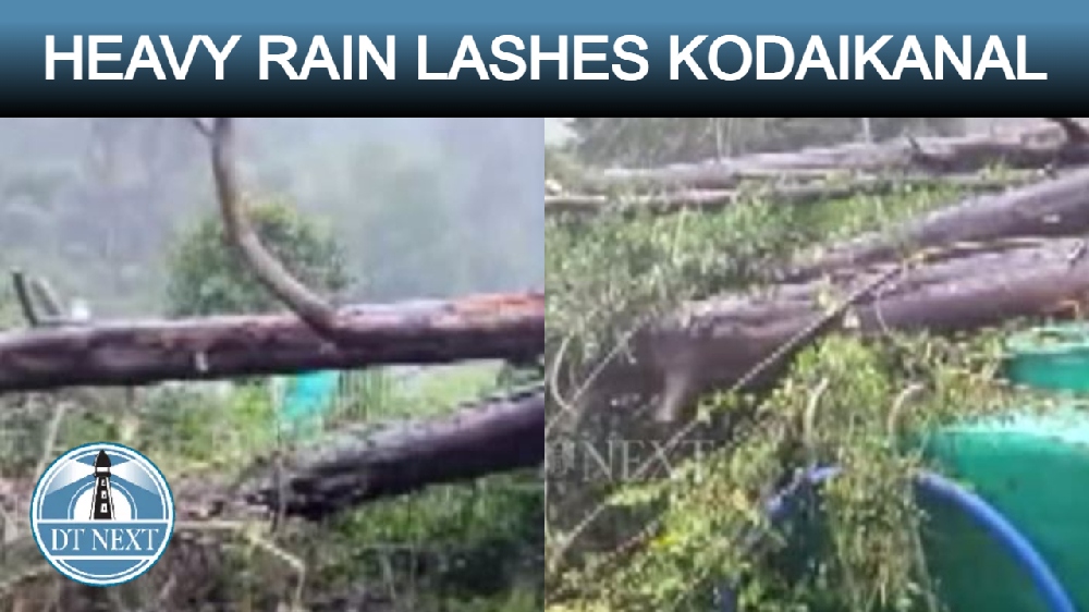 Heavy rain lashes Kodaikanal