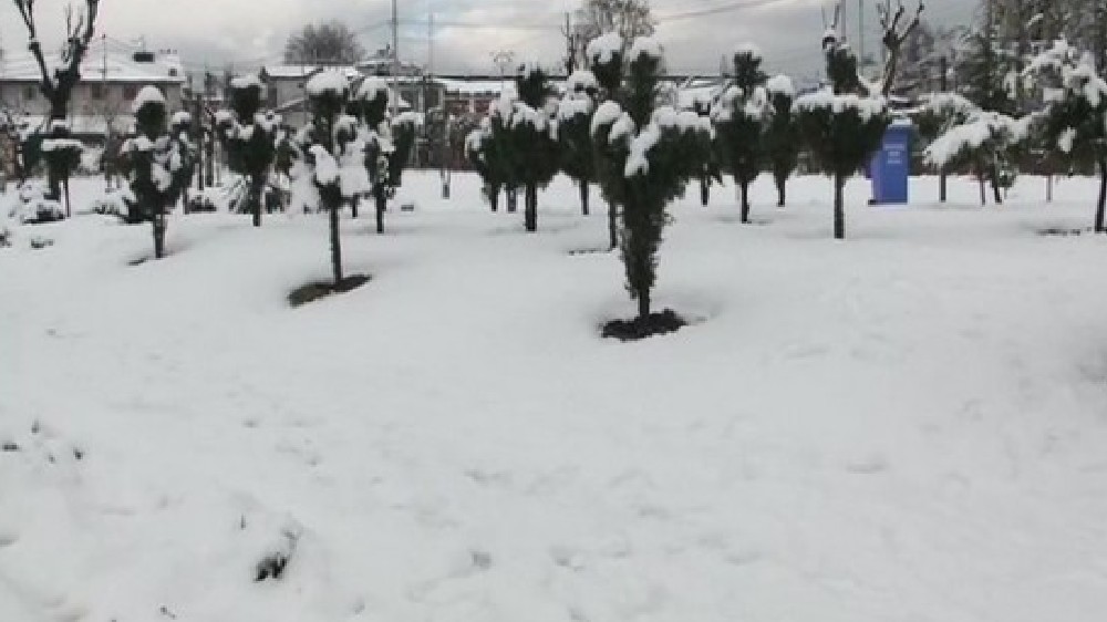 Vehicles stranded, trains suspended as record snowfall hits Japan