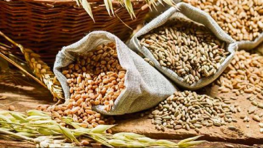 India estimated to produce 205L tonne millet in 2022-23: Min