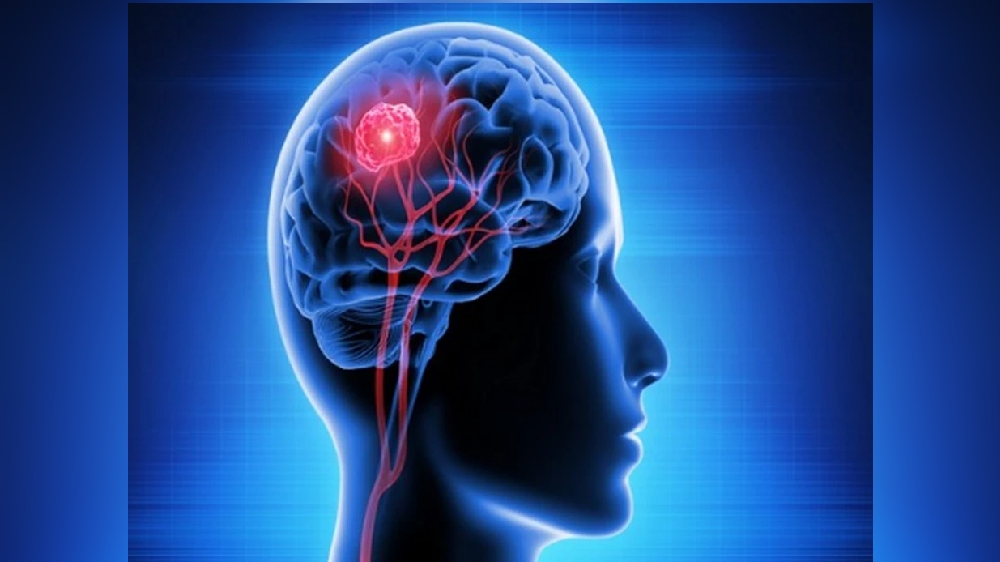 New findings on neuronal activities in the sensorimotor cortex New findings on neuronal activities in the sensorimotor cortex