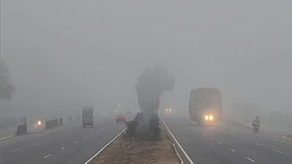 Fog engulfs North India, visibility dips to zero in some places