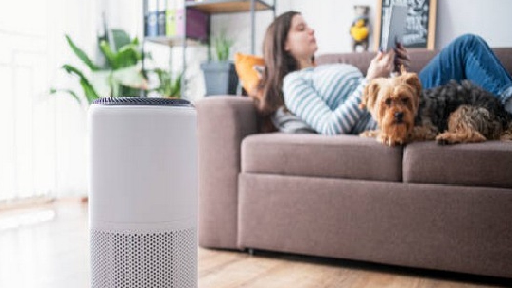 Household air purifiers improve heart health in COPD patients