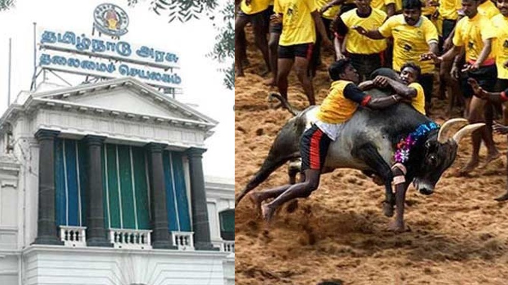 Notion that sports or entertainment can’t have cultural value incorrect Notion that sports or entertainment can’t have cultural value incorrect