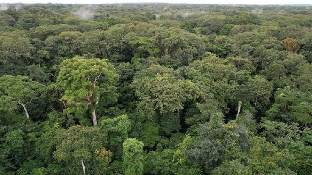 Nanmangalam forest to be aided by Perungudi bio soil