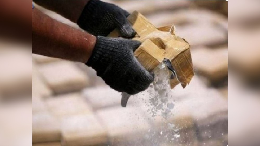 Canadian Border Agency seizes about 2,500 kg opium in Vancouver