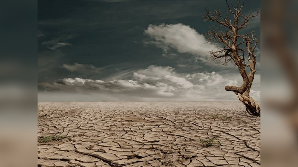 Itchy eyes, runny nose can cause by climate change: Study