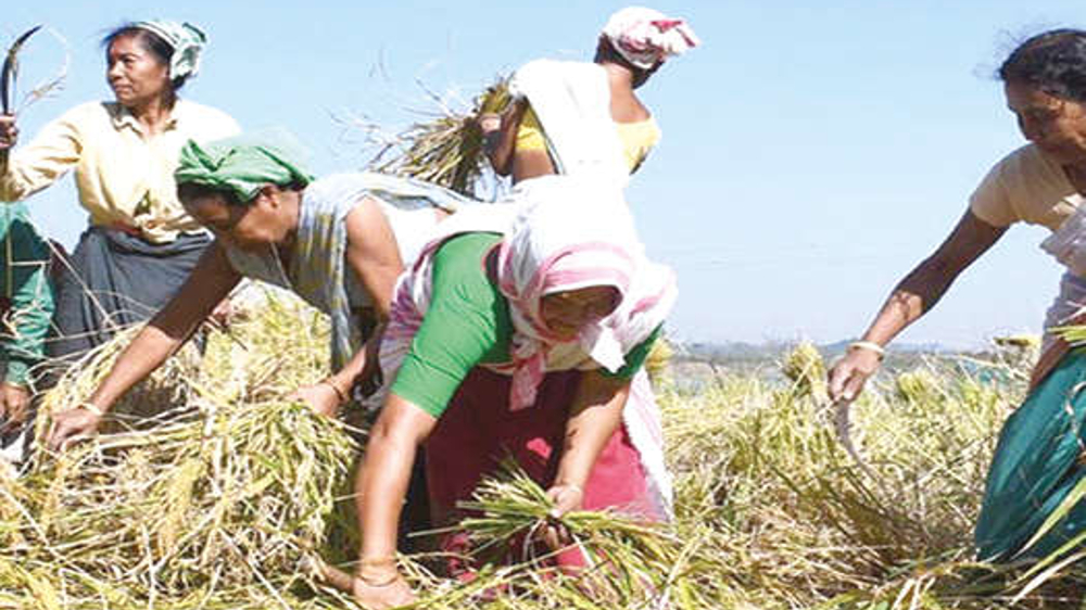 India’s tribes: Living on the margins of mainstream society India’s tribes: Living on the margins of mainstream society