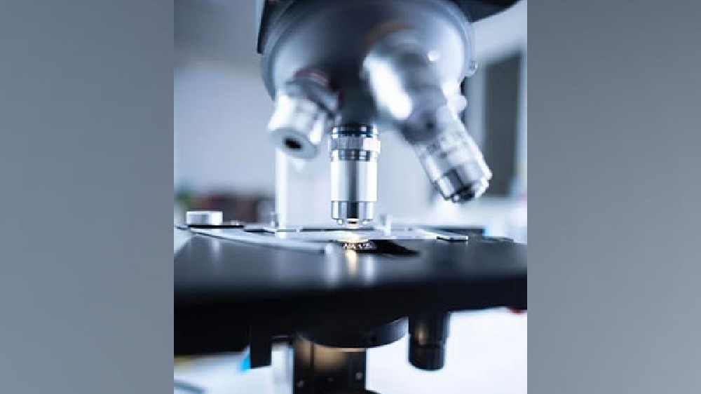 Bacterial Therapies with Pharma Drugs could help treat Cancer: Study