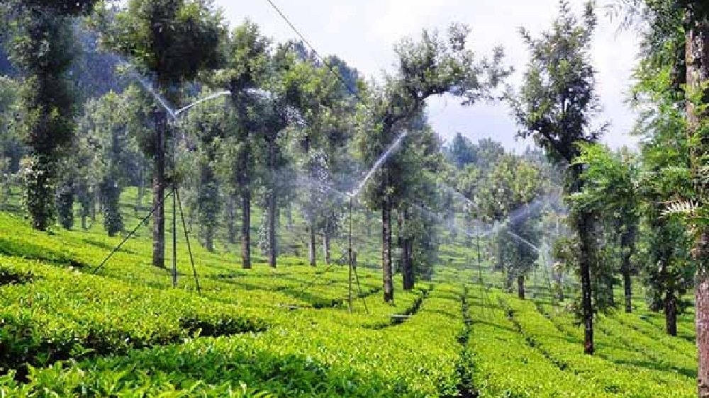 Indian Army conducts outreach programme in Nilgiris village