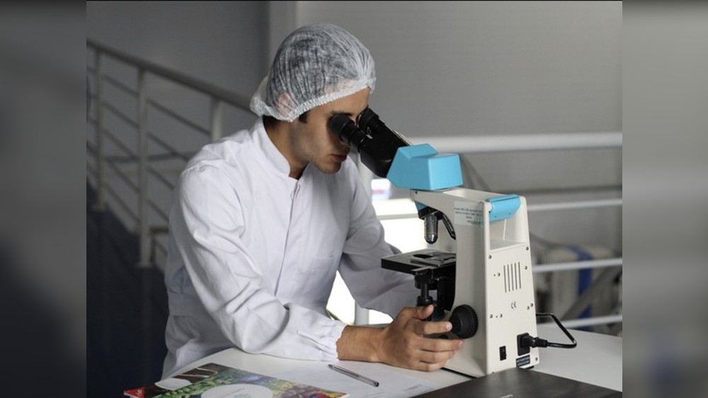 Key to new lupus treatment lies in blood: Study