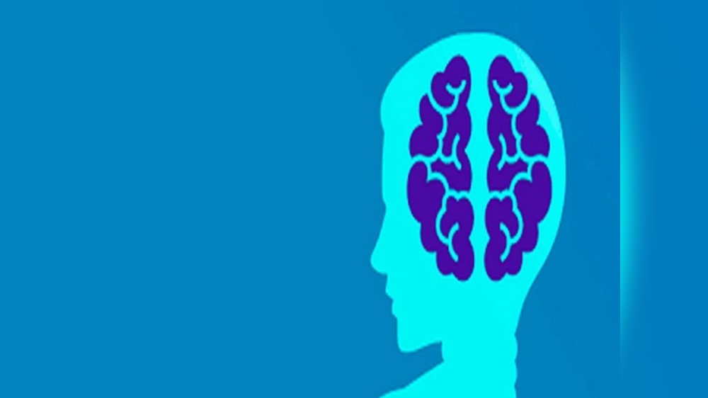 Neurons responsible for maintaining body temperature identified : Study