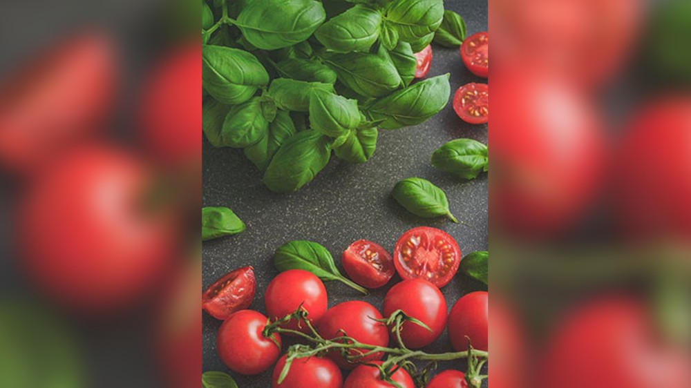 Tracing tomatoes health benefits to gut microbes: Research Tracing tomatoes health benefits to gut microbes: Research