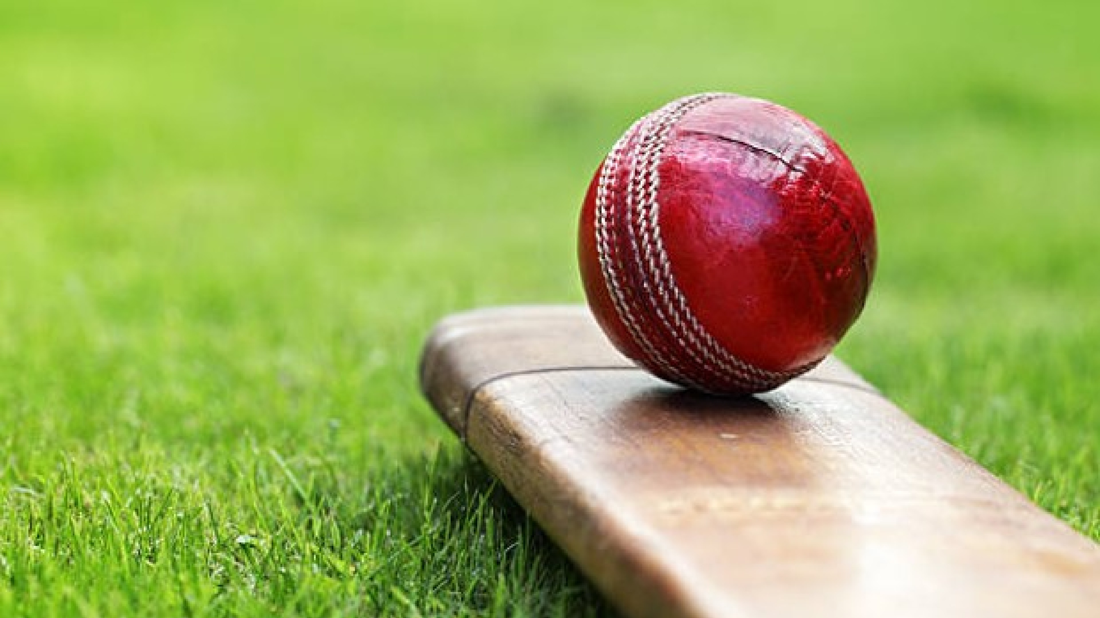 Tamil Nadu U-19 openers score half-centuries