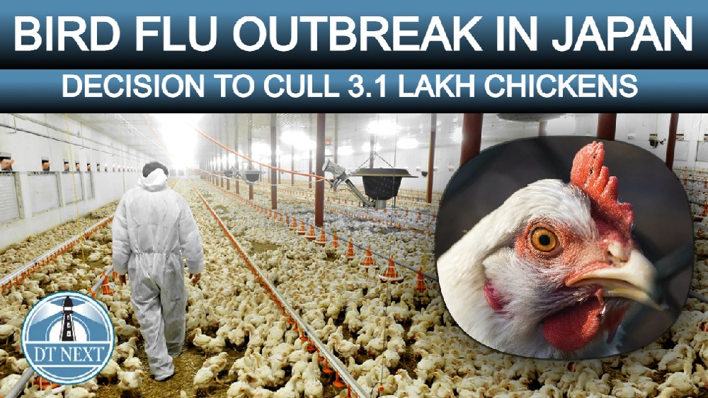 Massive bird flu outbreak in Japan Massive bird flu outbreak in Japan