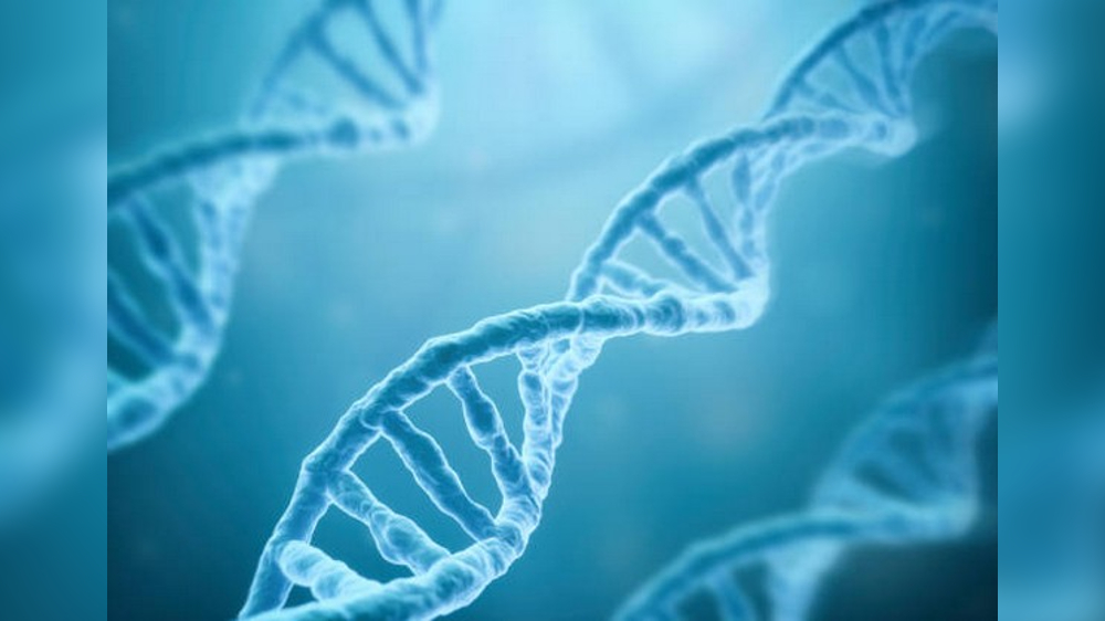 Early life events can have long-term effect on genes: Study