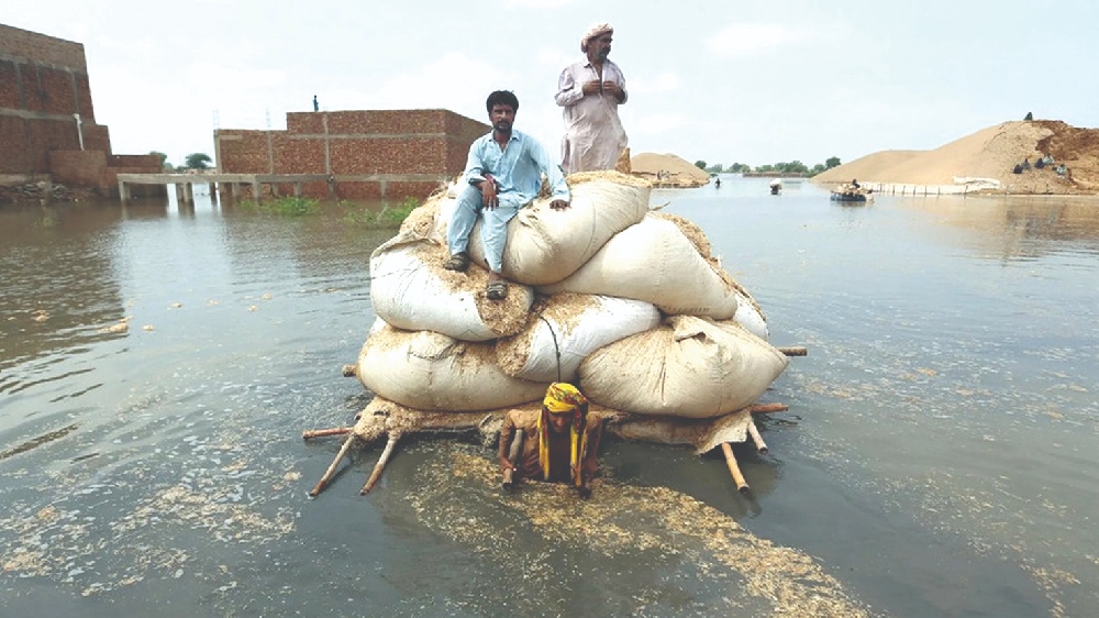 Tangible shifts: 2022 marked the start of a green transition