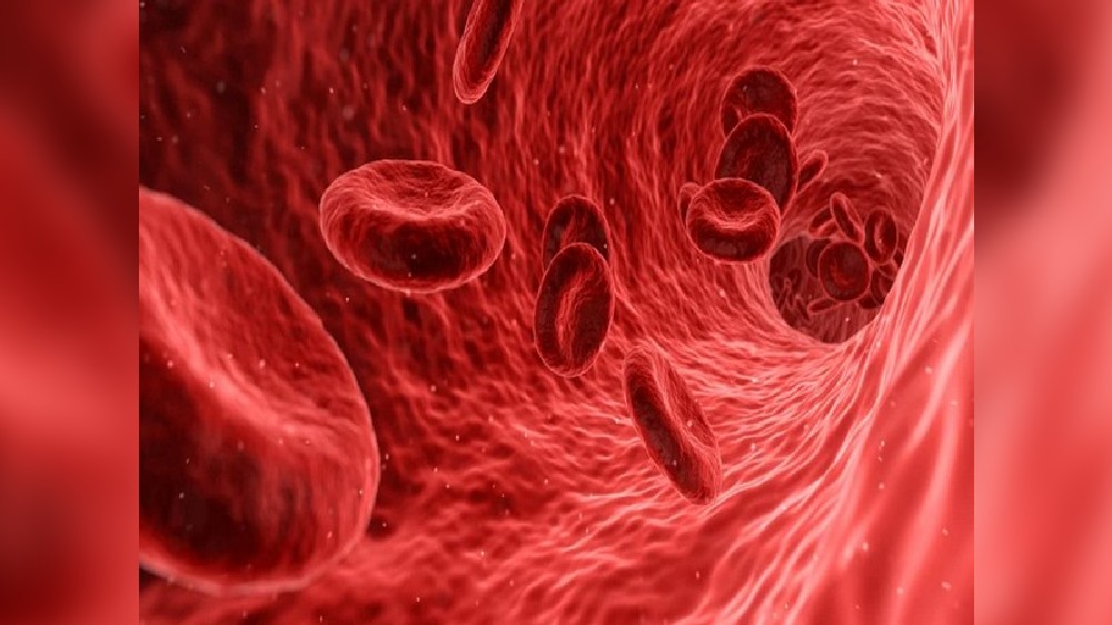 Anemia discovery offers new targets to treat fatigue in millions