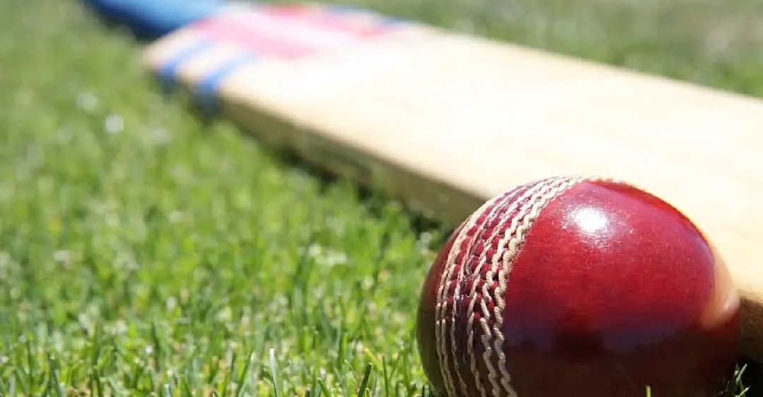 TN bowls Baroda out for 332 in 1st innings of Under-19 QF