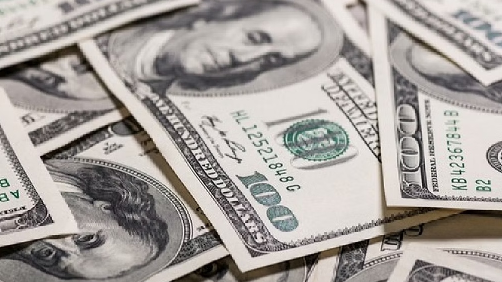 Grocery delivery app Getir acquires rival Gorillas for $1.2 bn Grocery delivery app Getir acquires rival Gorillas for $1.2 bn