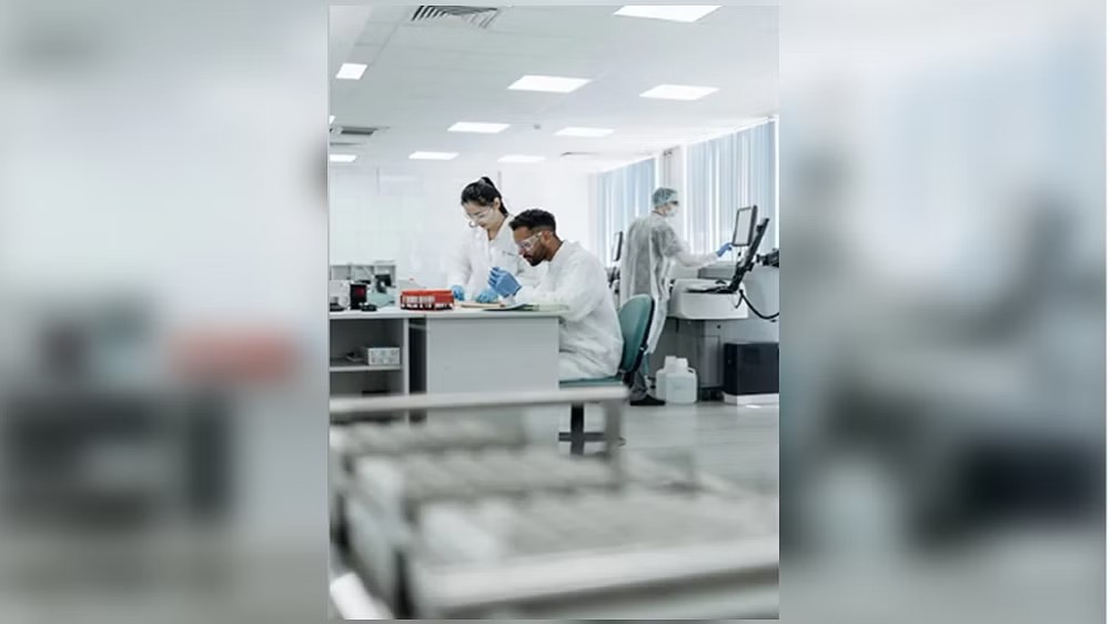 Neurons responsible for maintaining body temperature: Study