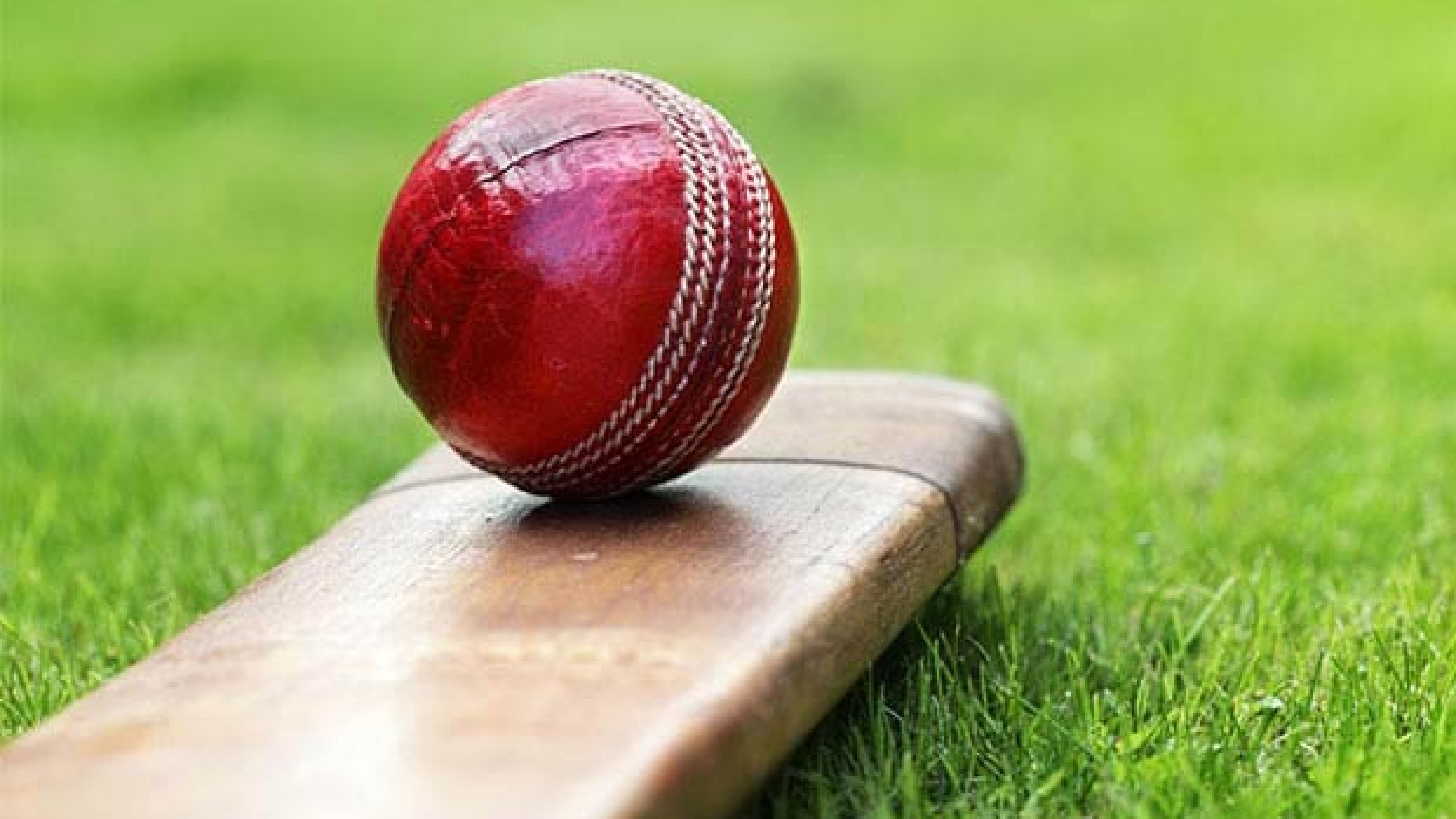 Gaurav scores patient fifty for TN Under-16 Gaurav scores patient fifty for TN Under-16