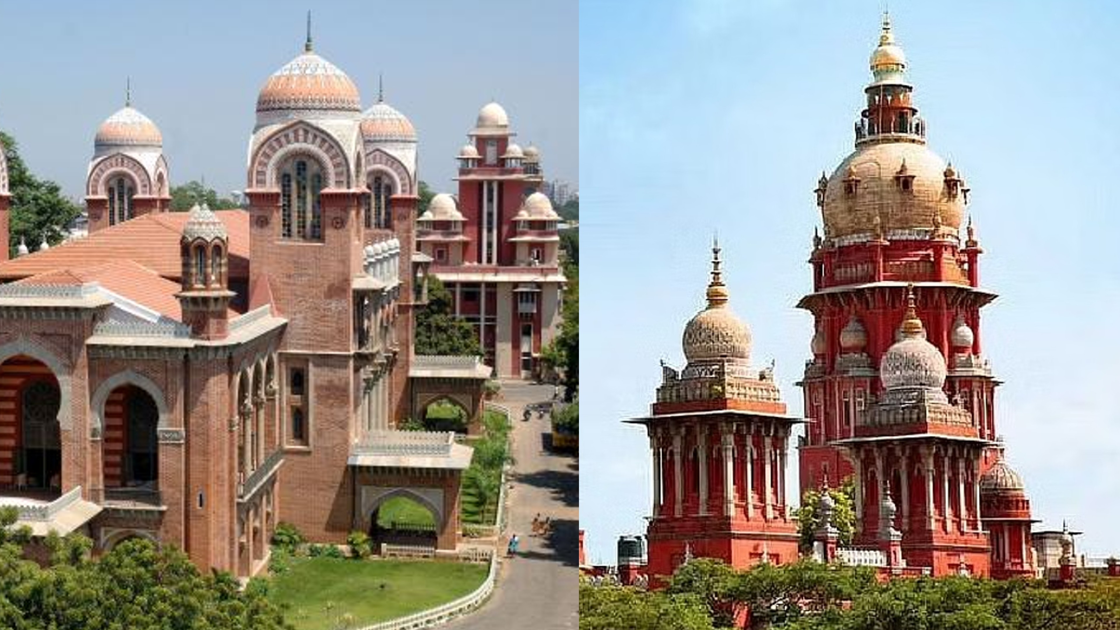 Rs 10L compensation if original certificates not returned: HC to Madras Univ