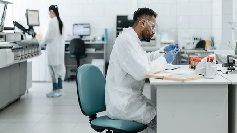 Researchers give new insight into human cognition, brain disorders