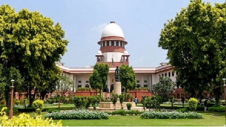 Supreme Court asks NGT to hear afresh Curlies restaurant owners plea