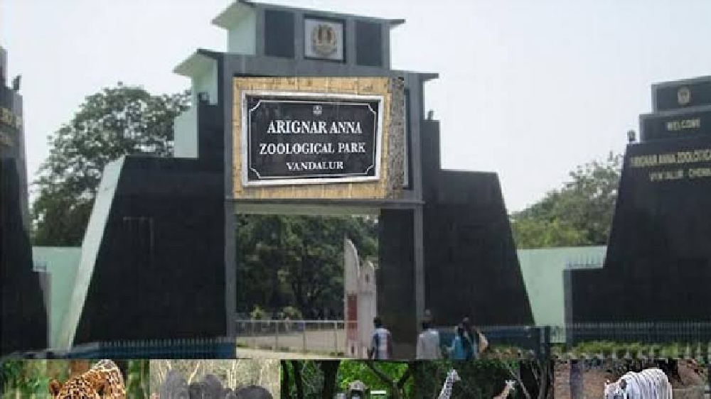 Girl falls unconscious in Vandalur zoo, lack of arrangements alleged