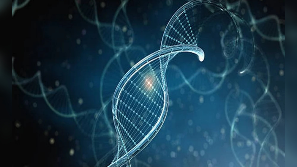 Promising gene therapy delivers treatment directly to brain