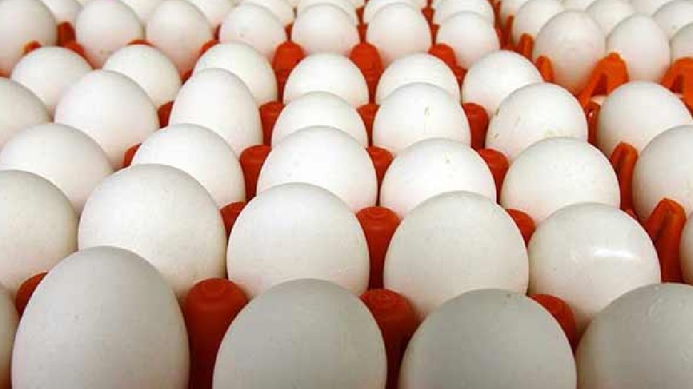 Kerala bans production of mayonnaise made from raw eggs