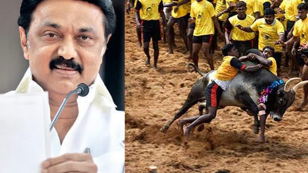 Stalin condoles demise of three in Jallikattu, announces solatium Stalin condoles demise of three in Jallikattu, announces solatium