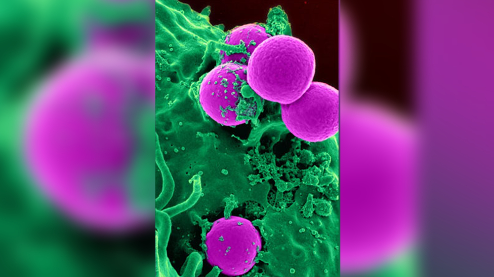 Research reveals cancer threat from virus protecting enzymes