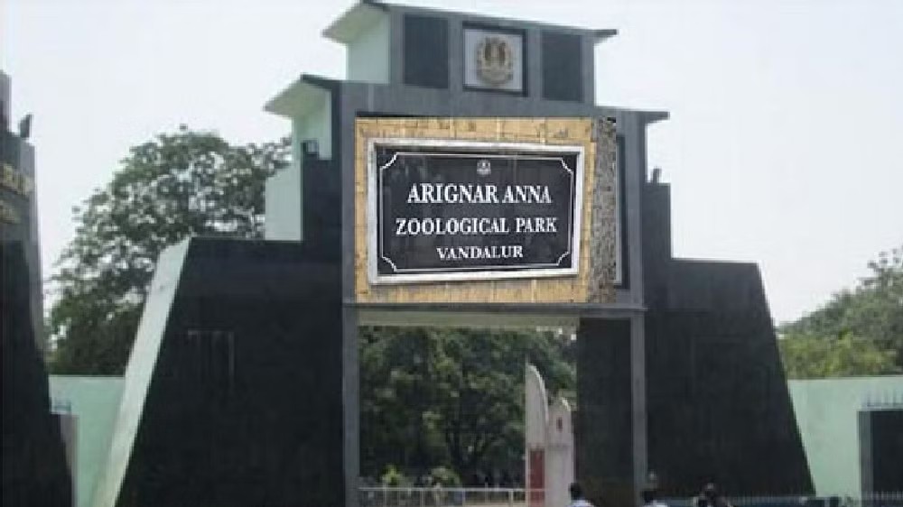 Visitor’s car goes missing from parking lot of Vandalur zoo