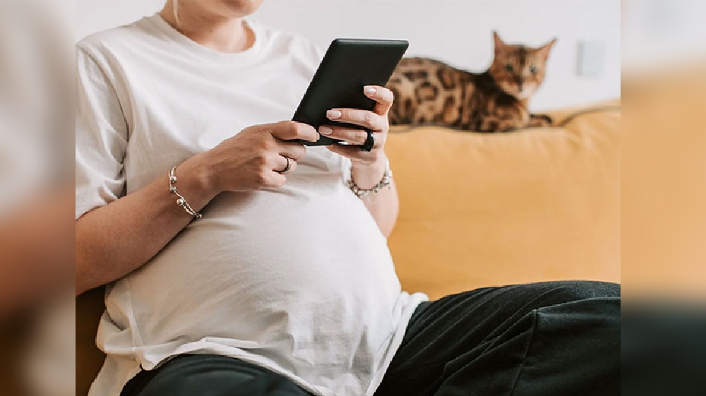 Taking advice from influencers may lead to unwanted pregnancies Taking advice from influencers may lead to unwanted pregnancies