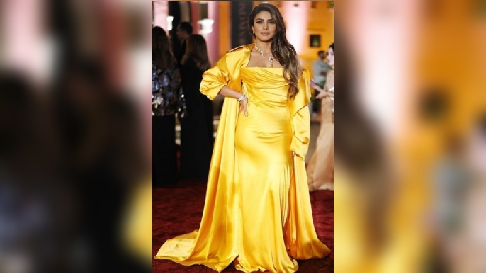 Priyanka Chopra responds to criticism of her use of surrogate