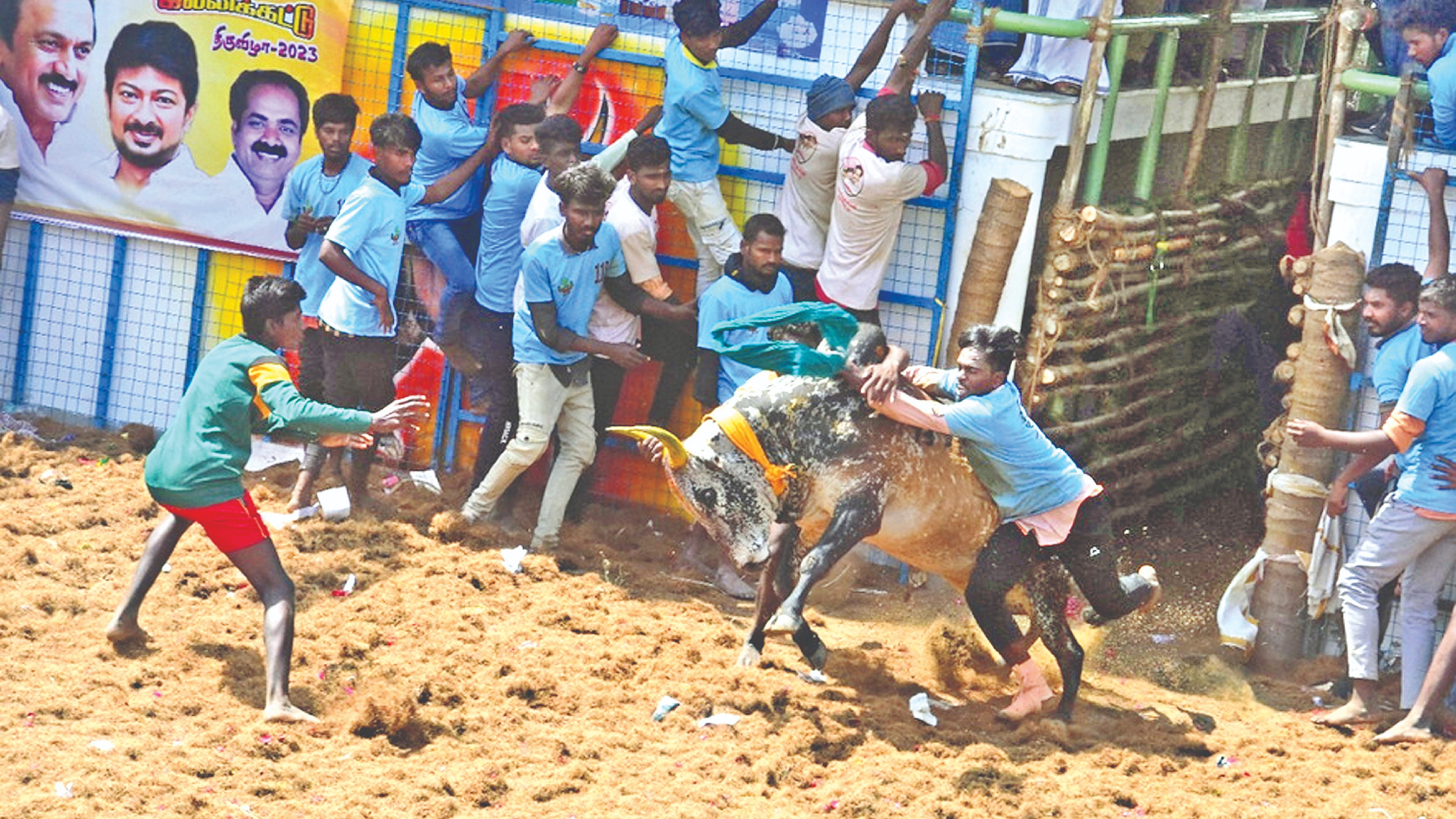 In Central dists, 3 persons, 2 bulls die; 1 tamer loses eye