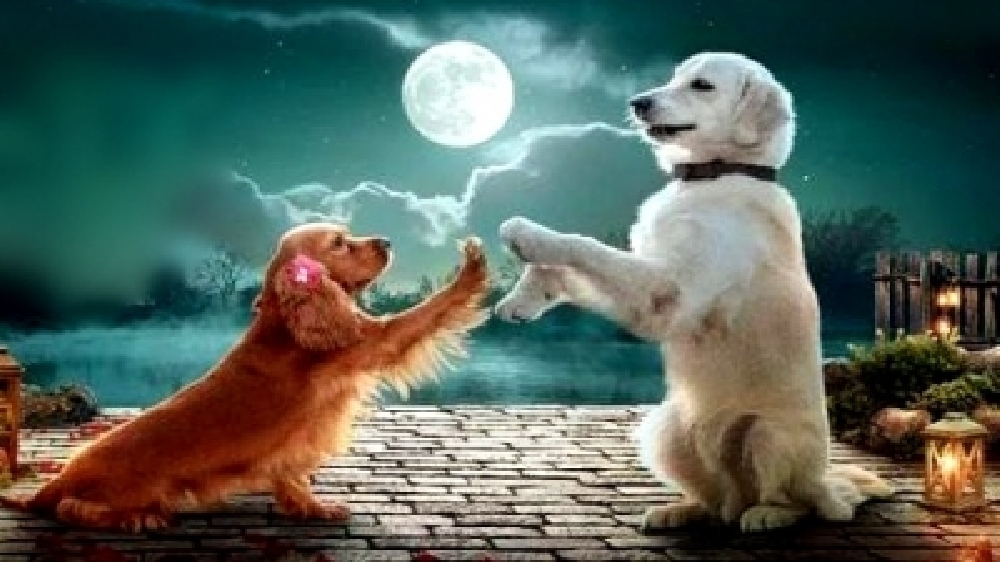 A film with just puppies Valatti all set for a notable first