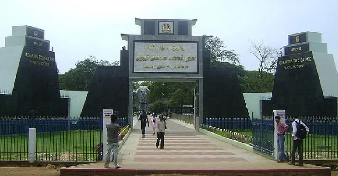 Vandalur zoo had 1 lakh visitors this Pongal season