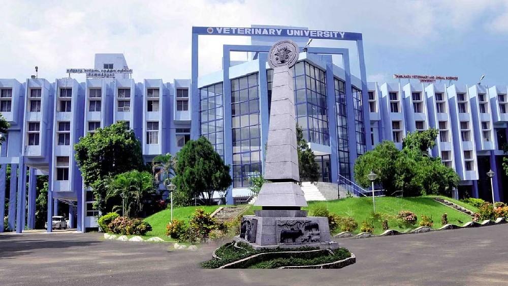TANUVAS establishes veterinary incubator under flagship programme TANUVAS establishes veterinary incubator under flagship programme