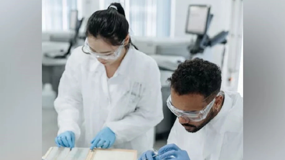 Regulating immunological memory help immune system fight disease Regulating immunological memory help immune system fight disease