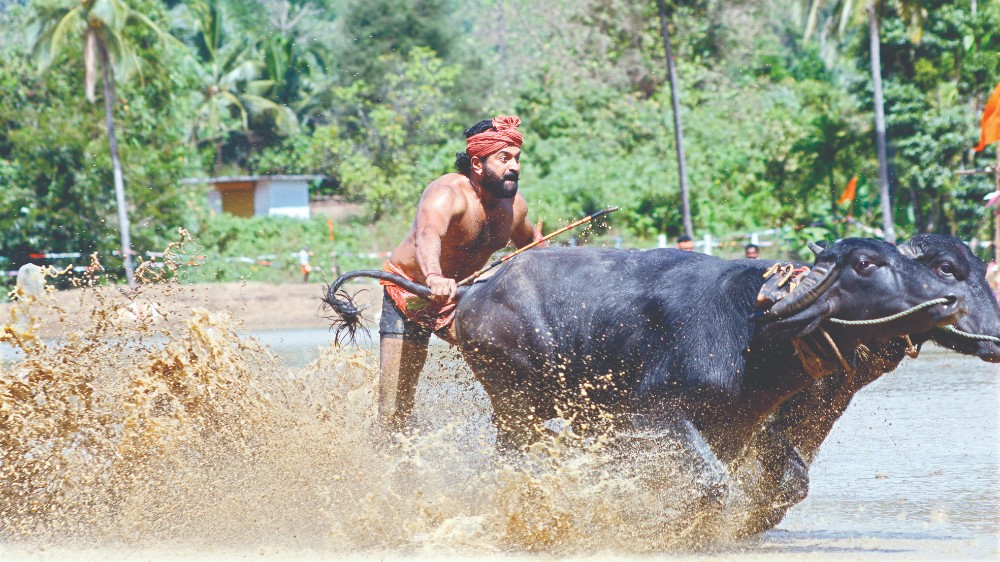 Kantara completes 100 days in K’taka; producer thanks moviegoers