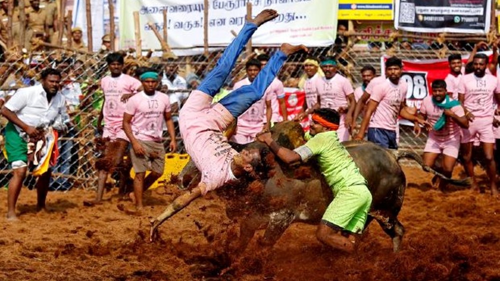 Govt to hold jallikattu at Avaniyapuram Govt to hold jallikattu at Avaniyapuram