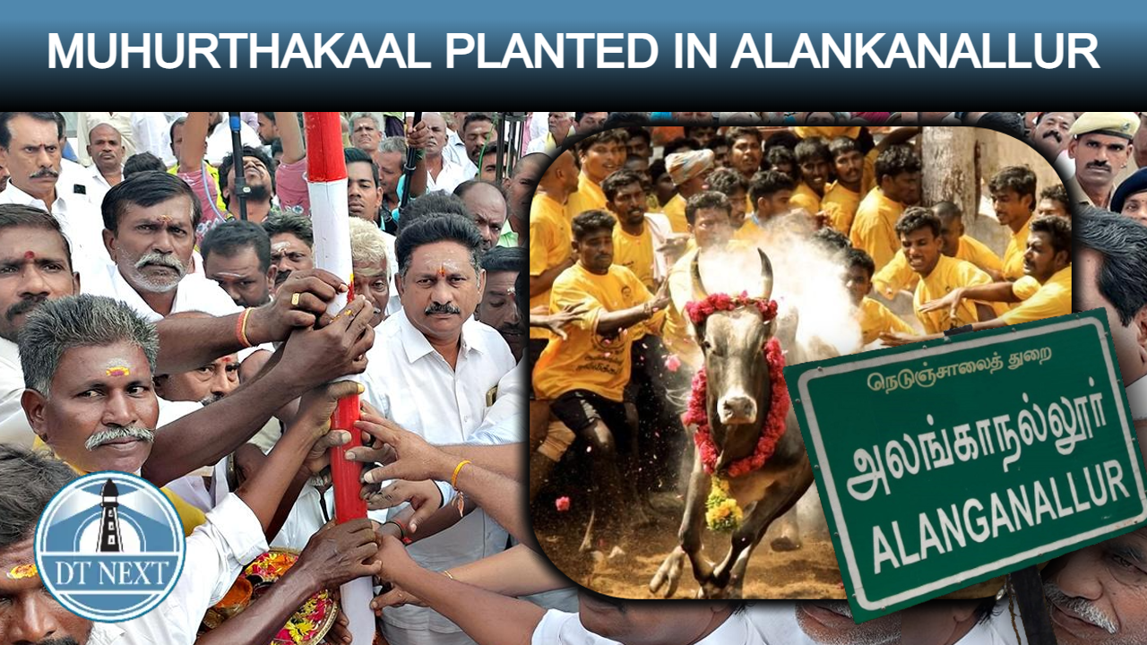 Alanganallur all set to welcome Jallikattu